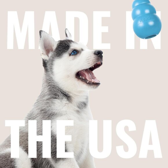 NWT Blue Medium Puppy Kong for Treats & Rubber for Teething Chew Toy Chase Fetch - Picture 16 of 16